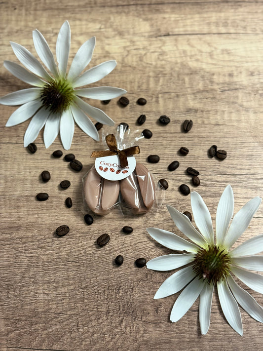 CozyCoffee Bean Soap Duo